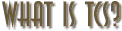 What is TCS? - A brief explanation